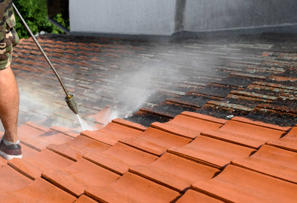 Best Affordable Power Washing  in Clintondale, NY