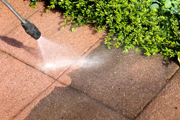 Best House Pressure Washing  in Clintondale, NY